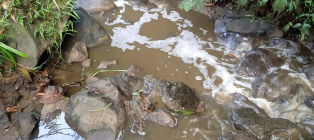 Walhi Jawa Timur dan Global Forest Coalition menemukan pencemaran perusahaan susu sapi terhadap sungai. (Foto: Walhi Jawa Timur dan Global Forest Coalition)