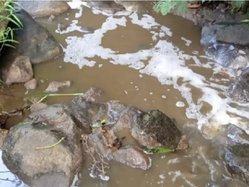 Walhi Jawa Timur dan Global Forest Coalition menemukan pencemaran perusahaan susu sapi terhadap sungai. (Foto: Walhi Jawa Timur dan Global Forest Coalition)