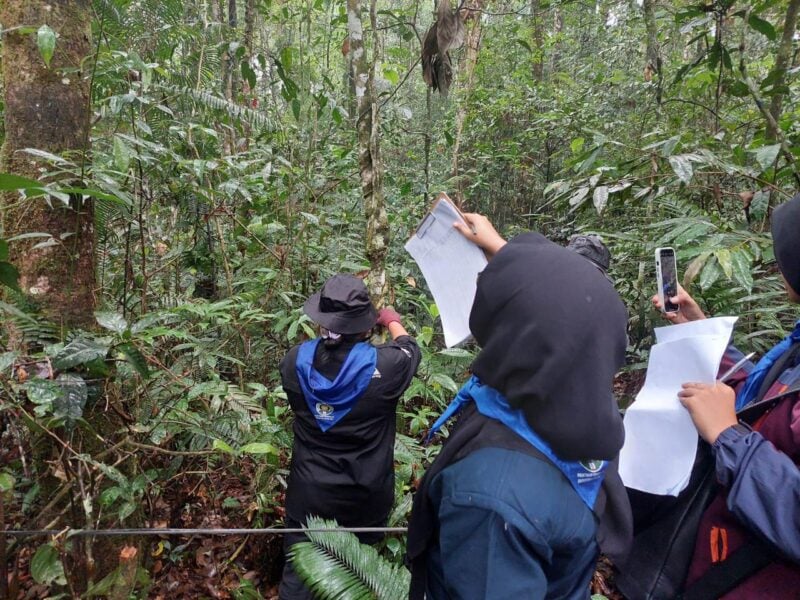 ekosistem hutan Naik Gunung Sibayak ala orang-orang muda USU. Membersihkan sampah gunung bagian dari menjaga kelestarian alam.