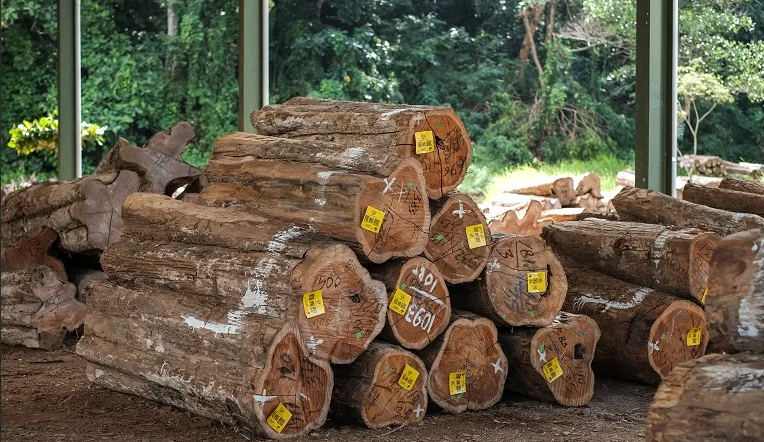Bahan bangunan rendah emisi karbon untuk mengurangi dampak pemanasan global. Perubahan iklim sedang terjadi di Indonesia dan negara lain.