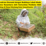 Budidaya Lebah kelut untuk membangun kemandirian ekonomi kolektif di Desa Sikalang Kota Sawahlunto. Dukungan dari WALHI Sumatera Barat.