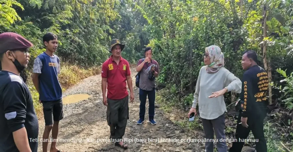 Peneliti BRIN lakukan analisis DNA sampel rambut harimau dari Sukabumi. Harapan baru penemuan harimau jawa.