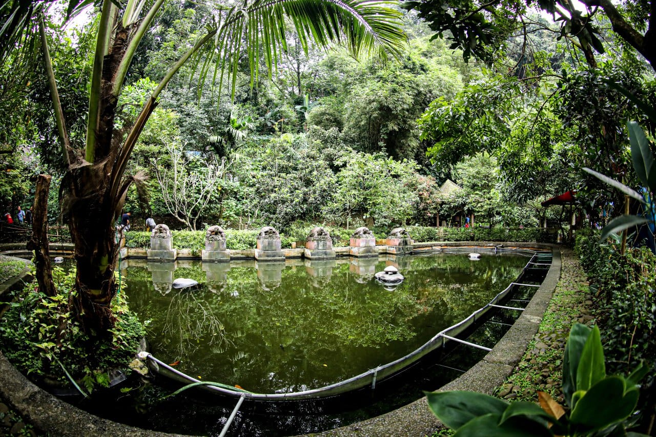 Hutan Kota Babakan Siliwangi Bandung