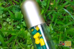 Suplemen cegah stunting dari tulang ikan bandeng