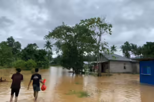 Daya Dukung Lingkungan Sudah Terlampaui, Tambang di Halmahera Perlu Dibatasi