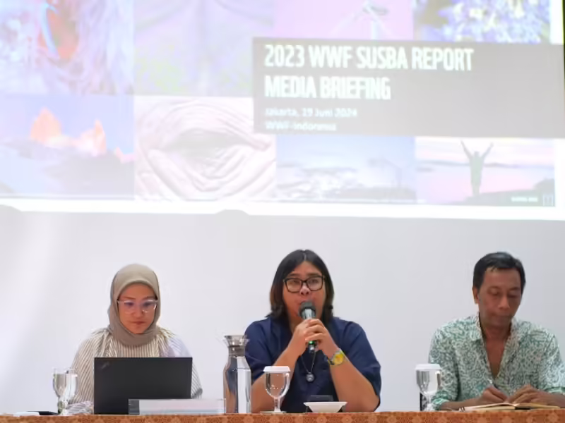 World Wildlife Fund (WWF) merilis laporan Sustainable Banking Assessment (SUSBA) ke-7 yang menyoroti rendahnya integrasi risiko lingkungan, sosial, dan tata kelola (ESG) dalam sektor perbankan Indonesia. (WWF)