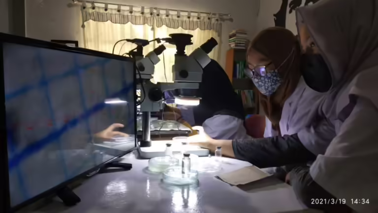 jajanan sekolah mikroplastik WhatsApp-Image-2021-03-19-at-16.55.11-1024x576