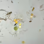 Bahaya bahan kimia plastik pada kesehatan, peneliti Unpad kembangkan plastik ramah lingkungan