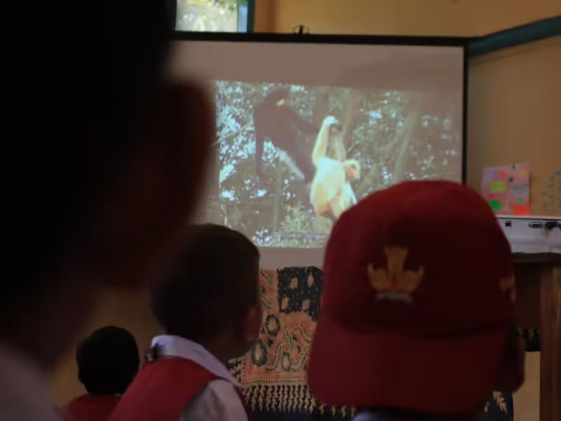 Edukasi pelestarian owa jawa. Perburuan liar juga mengancam eksistensi owa jawa. (WALHI JABAR)