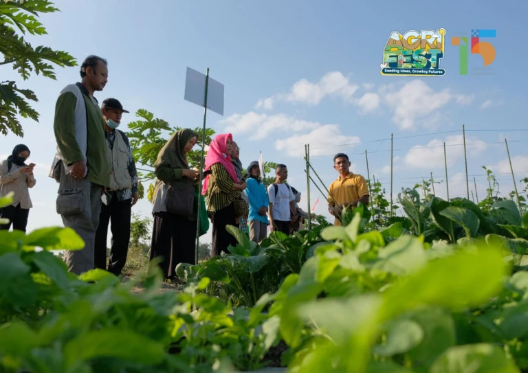 Sektor pertanian. (UGM)