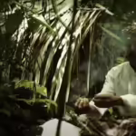 Pamali benteng kelestarian hutan Kampung Adat Kuta