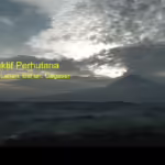 Perhutana: Hutan kolektif warga di tengah kawasan industri Jatiwangi