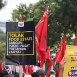 Pertanian food estate bukan jawaban pemenuhan pangan nasional