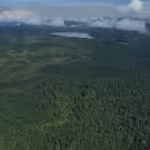 Militerisasi di kawasan hutan mengancam hak-hak masyarakat