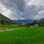 Mimpi swasembada pangan minus kesejahteraan petani