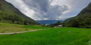 Mimpi swasembada pangan minus kesejahteraan petani