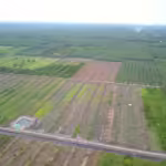 Kemampuan tanah terus menurun, mengancam ketanahan pangan