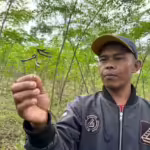 Transformasi energi di Bojongkapol, mengubah lahan kritis jadi sumber energi bersih