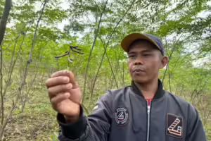 Transformasi energi di Bojongkapol, mengubah lahan kritis jadi sumber energi bersih