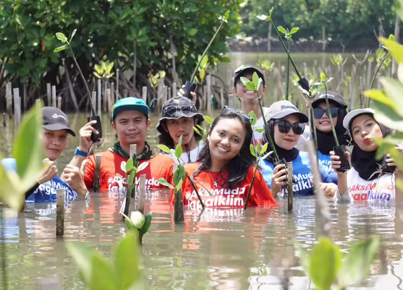 Penanaman mangrove di Tangerang Mangrove Center, Tanjung Pasir, Banten pada puncak Aksi Muda Jaga Iklim 2024. (Yayasan EcoNusa)