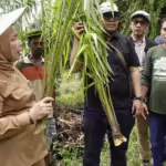 WALHI Sumut menolak perambahan hutan, mendukung perhutanan sosial