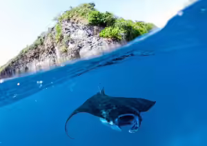 Indonesia ratifikasi perjanjian laut global, tantangan sebenarnya ada di implementasi