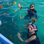 Aksi bersih-bersih pantai di kawasan Gili Noko, Gresik. (ITS)