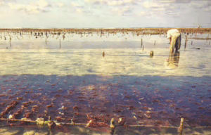 Perubahan iklim berdampak besar terhadap anak dengan disabilitas dan kusta di Indonesia