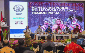 7 wilayah di Papua desak pengesahan RUU Masyarakat Adat