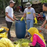 memilah sampah