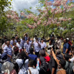 Pertemuan Nasional Lingkungan Hidup (PNLH) XIV yang tengah digelar di Kota Waingapu, Sumba Timur, Nusa Tenggara Timur (NTT), pada 17–24 September 2025. (Sumber: Walhi)