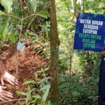 Hari Guru Nasional 2025 dirayakan pelajar Sukabumi dengan cara yang paling bermakna dan visioner: menanam pohon.