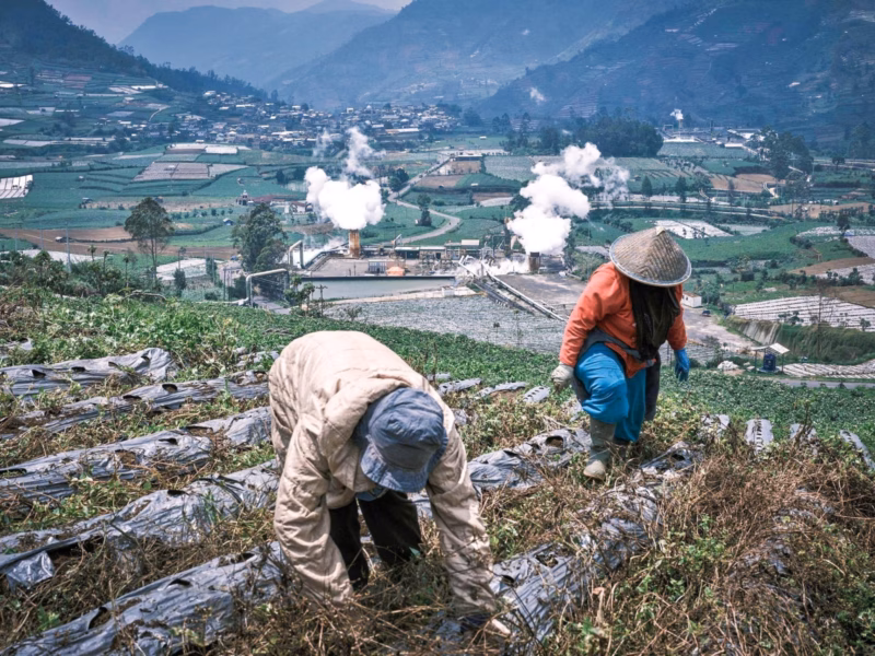 Para petani sedang mengurus ladang mereka saat uap mengepul dari pembangkit listrik tenaga panas bumi di Dieng, Jawa Tengah (Gambar: Beawiharta / Associated Press / Alamy)