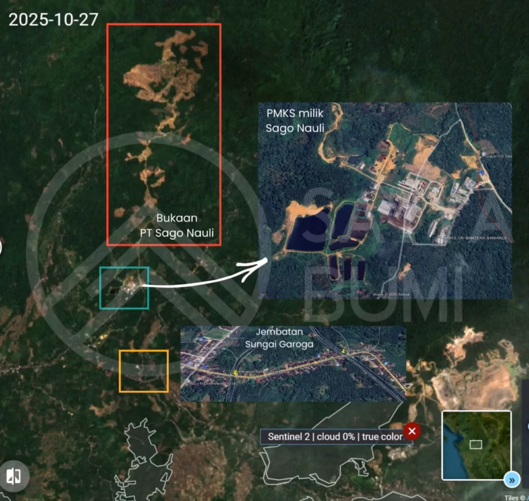 Pencabutan 22 izin PBPH pasca-banjir Sumatera dinilai langkah awal positif. Namun, Aliansi Kolibri mendesak evaluasi total demi mencegah bencana ekologis berulang.