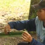 Kisah perempuan Dayak Seberuang di Silit adalah mikrokosmos dari perjuangan masyarakat adat di seluruh Nusantara.