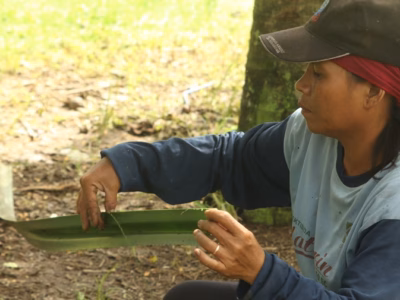 Kisah perempuan Dayak Seberuang di Silit adalah mikrokosmos dari perjuangan masyarakat adat di seluruh Nusantara.