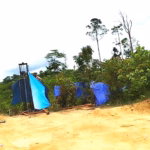 Hutan Harapan dikelilingi perkebunan sawit dan hutan tanaman industri. Di wilayah tersebut telah lama jadi surga bagi penambang minyak ilegal