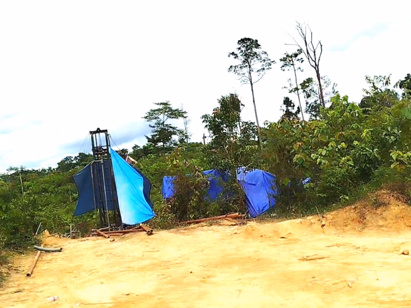 Hutan Harapan dikelilingi perkebunan sawit dan hutan tanaman industri. Di wilayah tersebut telah lama jadi surga bagi penambang minyak ilegal