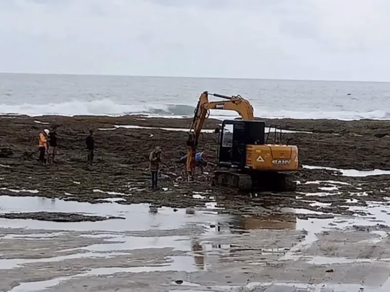 Kawasan Ciletuh-Palabuhanratu UNESCO Global Geopark (CPUGGp) Sukabumi, sejatinya adalah benteng konservasi.
