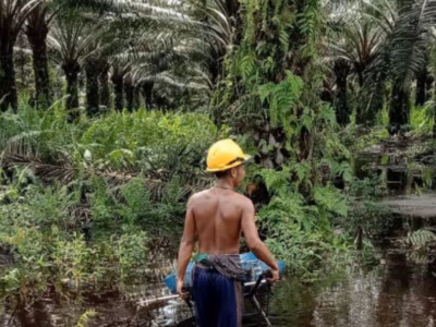 Penghancuran kawasan resapan air di hulu hutan Kalimantan demi akumulasi modal telah mengirimkan bencana ke wilayah pesisir.