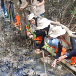 Rehabilitasi mangrove berperan besar meminimalisir risiko bencana seperti tsunami, sekaligus meningkatkan ketahanan lingkungan pesisir.