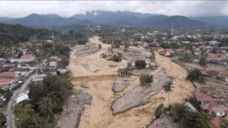 Pencabutan 22 izin PBPH pasca-banjir Sumatera dinilai langkah awal positif. Namun, Aliansi Kolibri mendesak evaluasi total demi mencegah bencana ekologis berulang.
