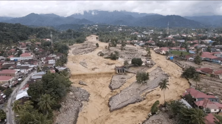Pencabutan 22 izin PBPH pasca-banjir Sumatera dinilai langkah awal positif. Namun, Aliansi Kolibri mendesak evaluasi total demi mencegah bencana ekologis berulang.