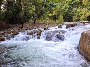 PLTMH swadaya di jantung rimba Kampung Silit