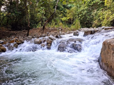 Energi dari PLTMH adalah hadiah dari sungai yang terus mengalir karena hutannya dijaga dengan cinta dan hormat.