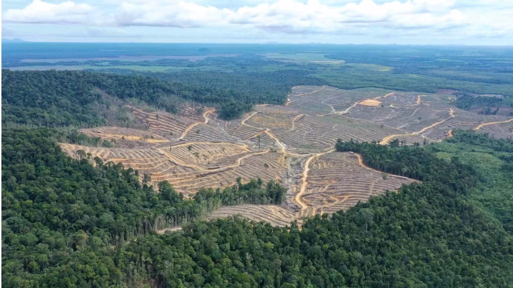 Rehabilitasi vegetatif dan agroforestri tidak sekadar soal menanam pohon, tetapi tentang menata kembali lanskap alam