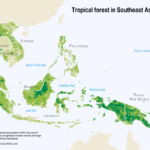 Keanekaragaman hayati dan digitalisasi: Asia Tenggara di persimpangan jalan