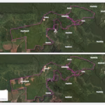 Deforestasi PT ESR Picu Kerusakan Ekologis dan Konflik Masyarakat Adat di Koridor Konservasi Kapuas Hulu