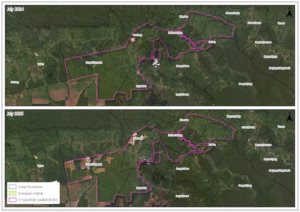 Deru mesin merobek jantung konservasi Kapuas Hulu