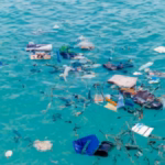 Mikroplastik adalah ancaman tersembunyi bagi perairan. Temukan dampaknya pada organisme laut dan kemampuan penyimpanan karbon.